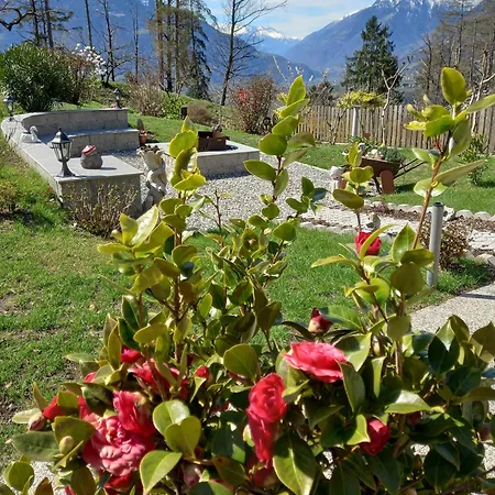 Appartamento Waldoase Scena